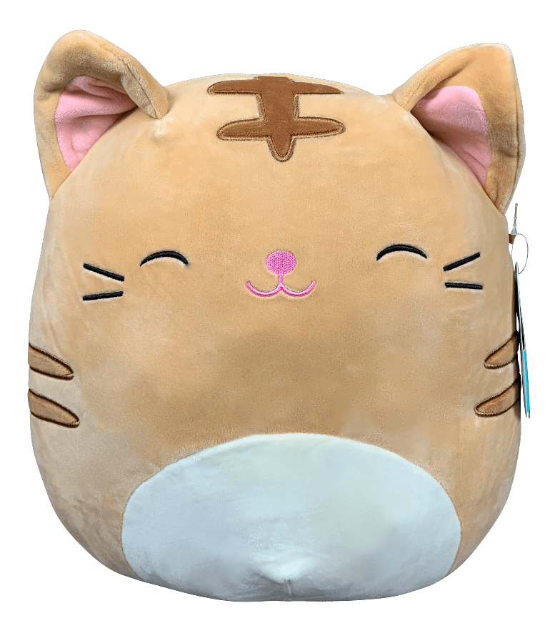 Best Cat Squishmallows Guide - Avid Plush