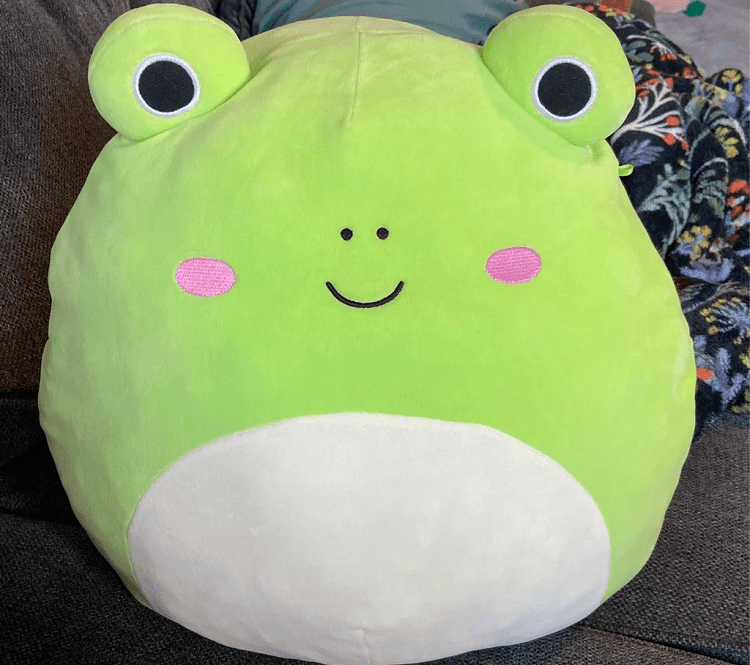 Wendy the Frog Squishmallow