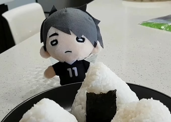 Haikyuu Plush Guide