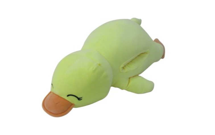 Sammy, the Duck Squishmallow Duck Guide