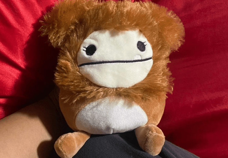 5 inch benny bigfoot squishmallow