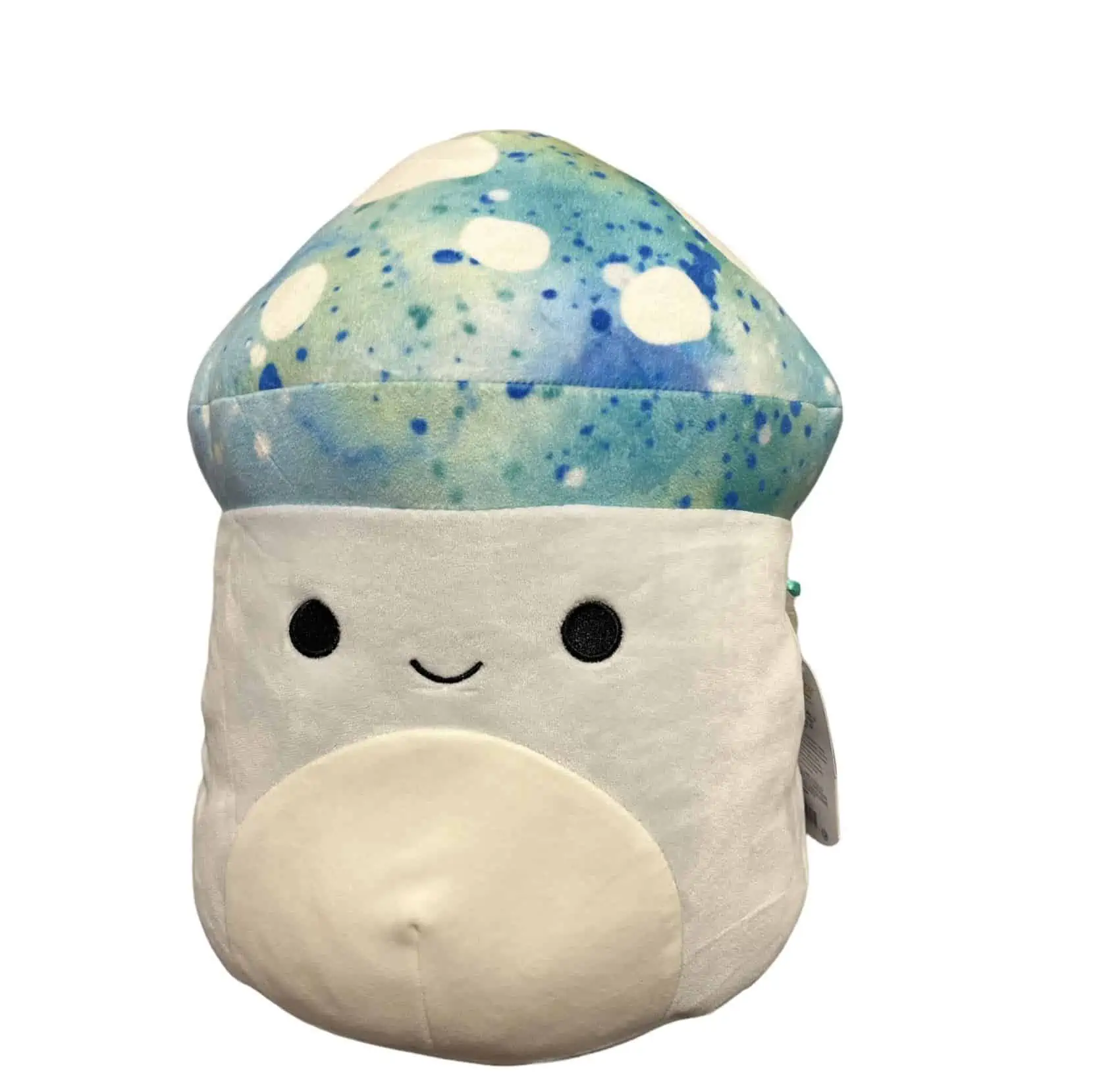 Best Xavier, the Blue Mushroom Squishmallow