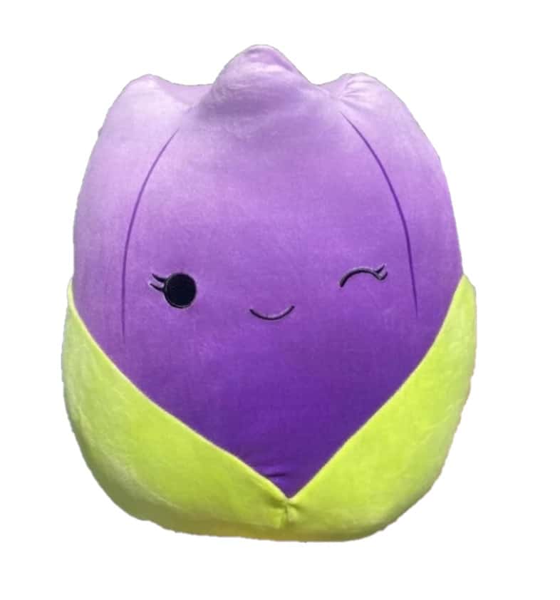 squishmallow jackie the tulip