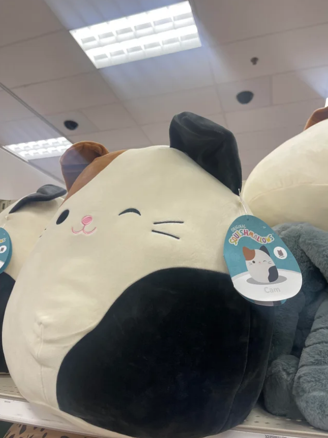 rare squishmallow tag