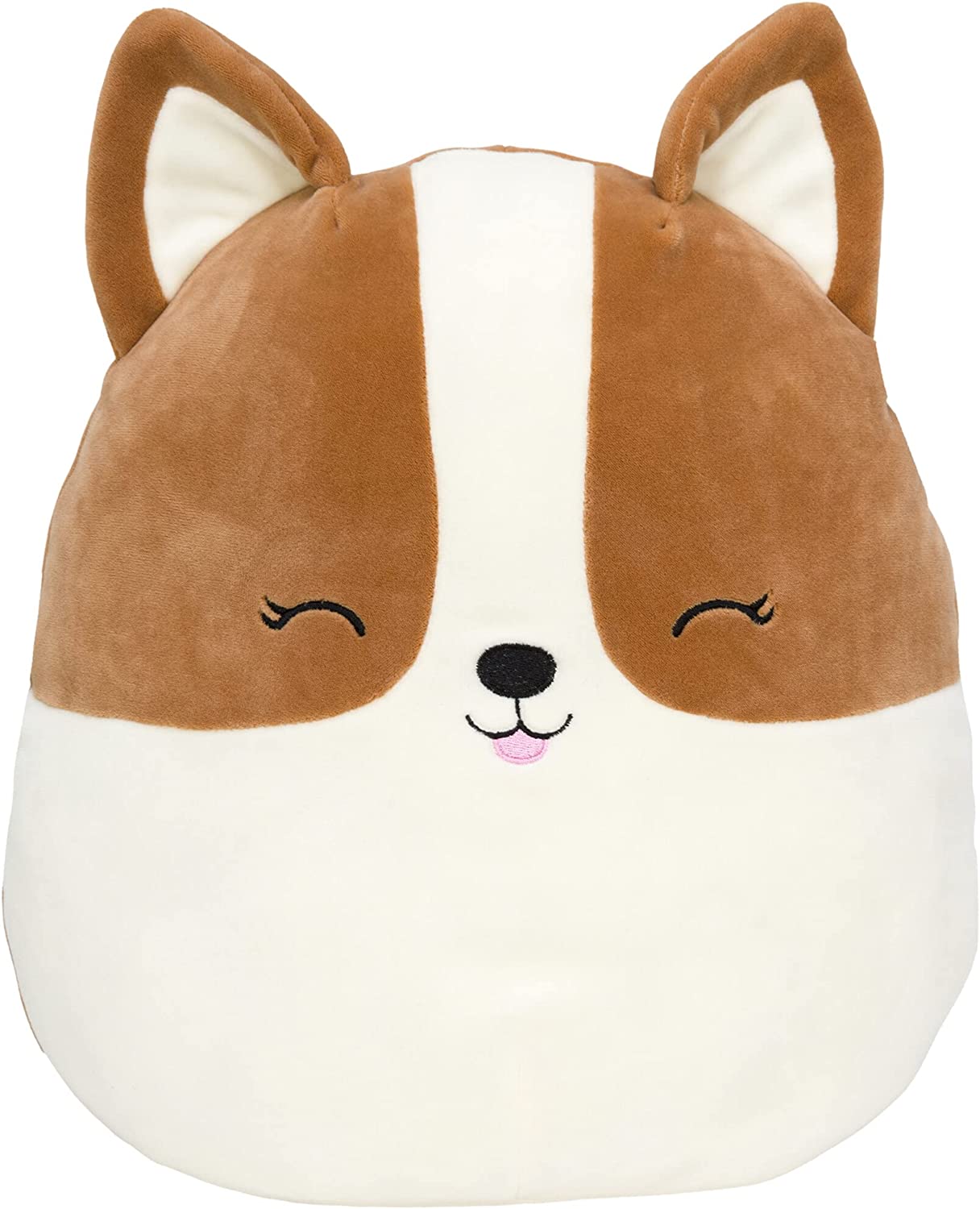 regina, the corgi squishmallow