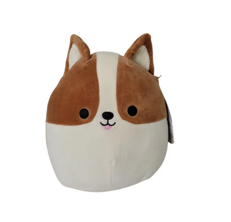 regina corgi squishmallow